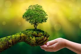 Environmental Modelling And Assessment